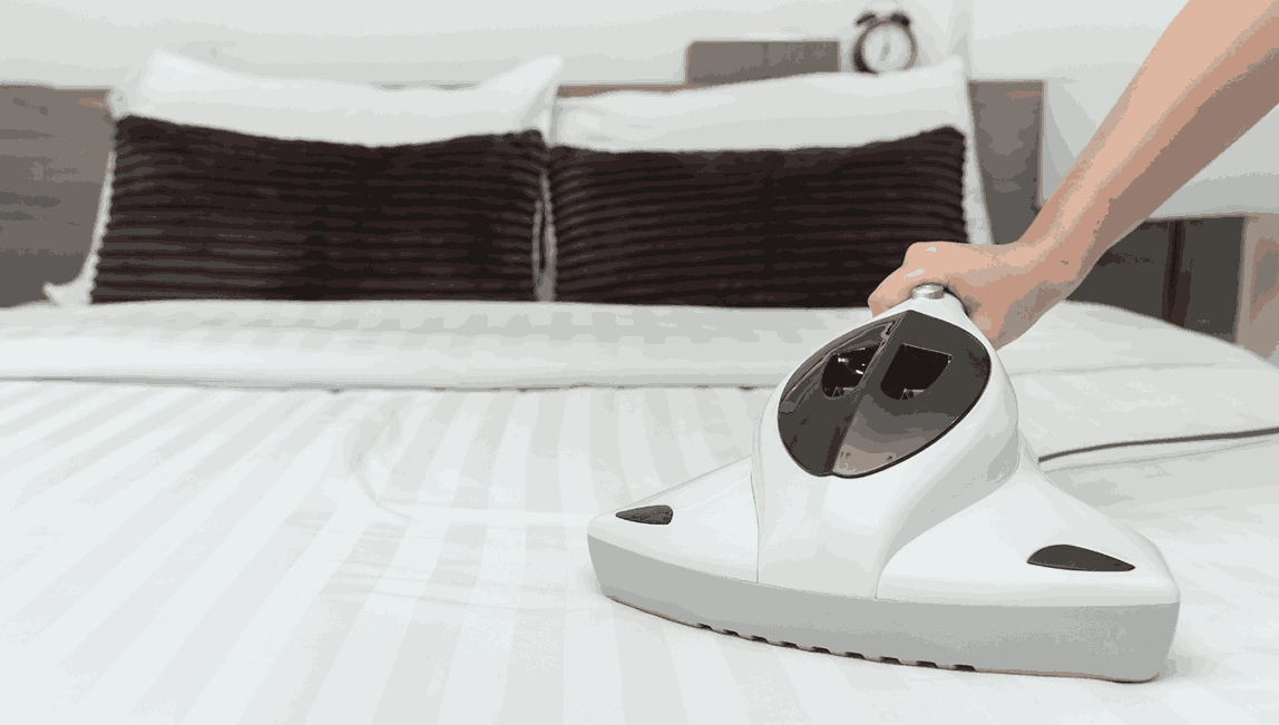 Professional Mattress Cleaning Jan Juc